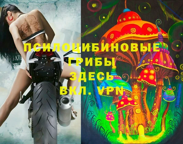 твердый Усолье-Сибирское